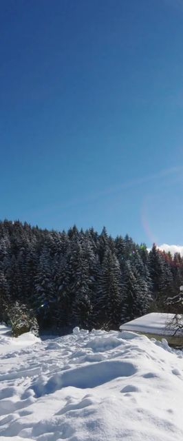 Alpenpension Unterschlag Annaberg im Lammertal