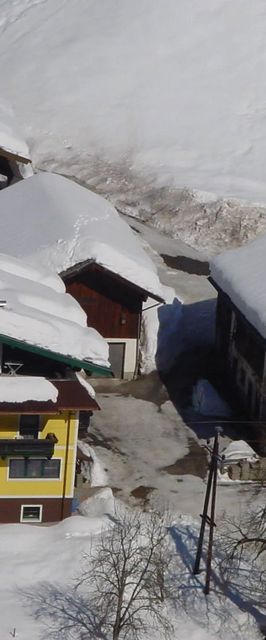 Schattaugut Apartment Eben