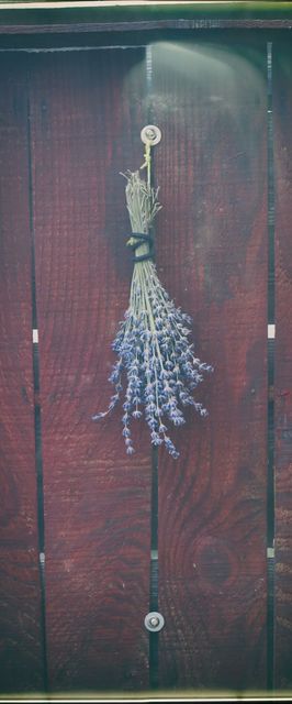 Lukács Vendégház Zamárdi