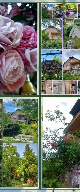 Pálfalvi MSz  Sztella Apartman Miskolctapolca