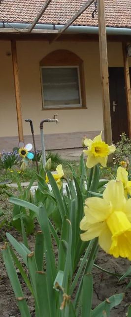 Alföldi Vendégház Hódmezővásárhely