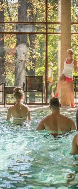 Wellness Hotel Gyula