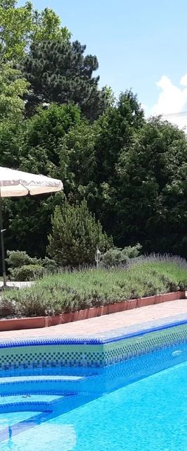 Schieszl Apartments 1 Zamárdi