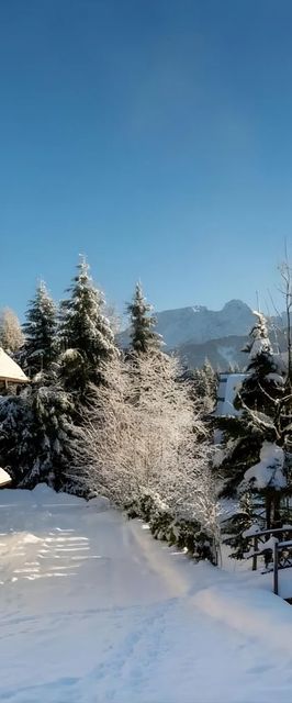 Willa Baciarka Kościelisko