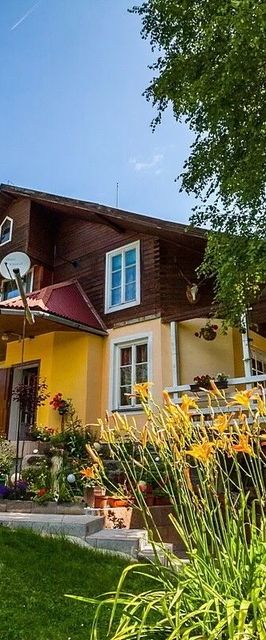 Pensiunea Napraforgó Borzont