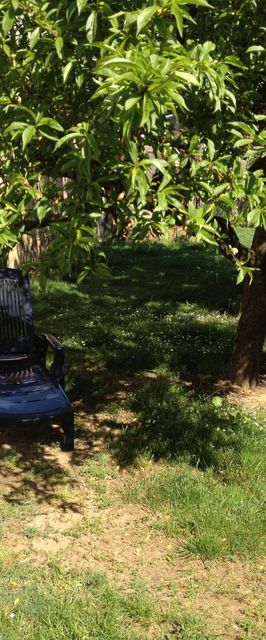 Teddy Bear House Balatonföldvár