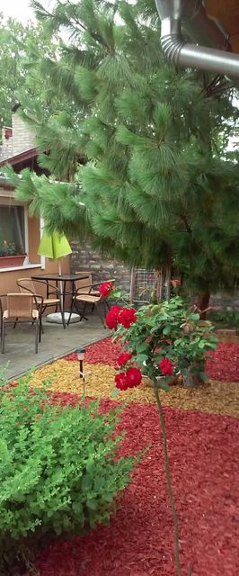 Napsugárka Apartman Szeged