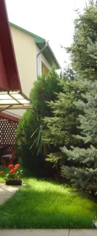 Kisfenyő Üdülőház Berekfürdő