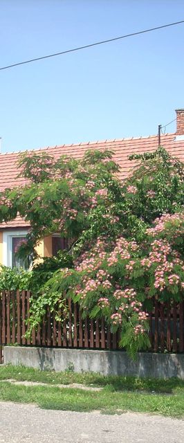 Abádi Karmazsin Ház Abádszalók