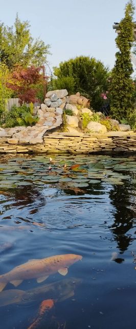 Szilvia Vendégház Siófok