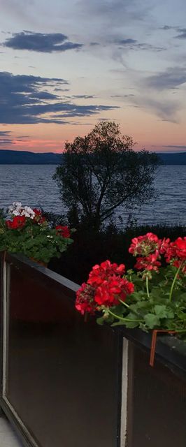 Lidó Társasüdülő Balatonlelle
