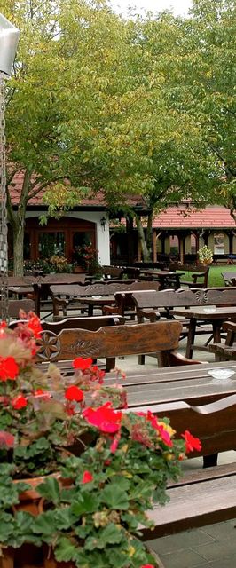 Tanyacsárda Csárda Panzió Felsőlajos