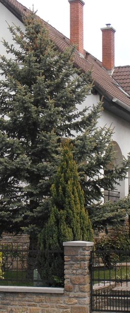 Ulrich Apartman Tihany