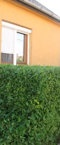 Éva Vendégszoba Tokaj