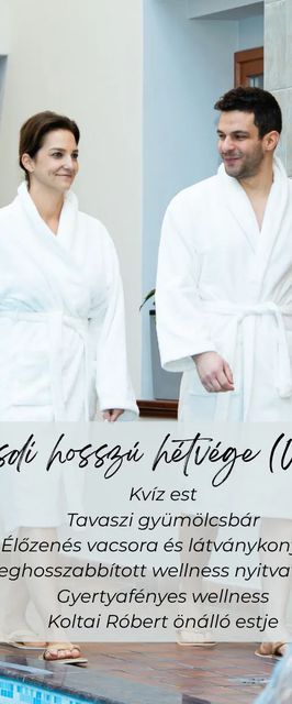 Aranyhomok Hotel Business & Relax Kecskemét