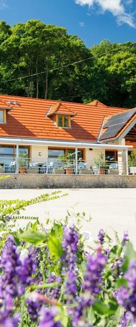 Lepke Étterem és Apartmanház Tihany