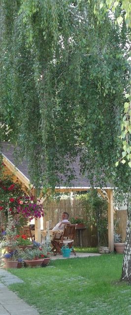 Levandium Apartman Miskolc