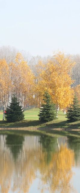 Pálya Apartman Bük