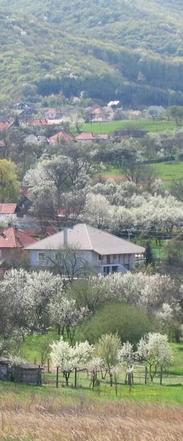 Papréte Vendégház Mályinka