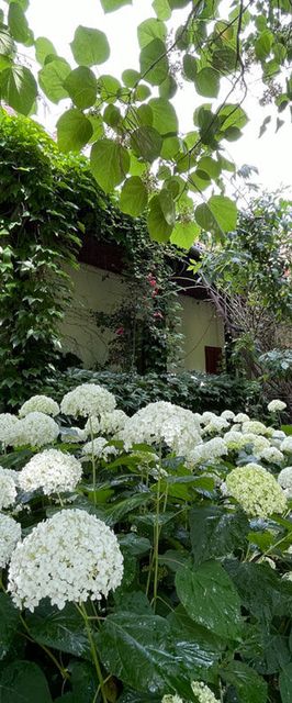 Erdőszéli Vendégház Túristvándi