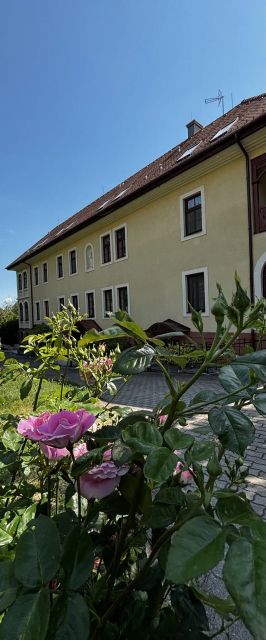 Park Villa Csopak