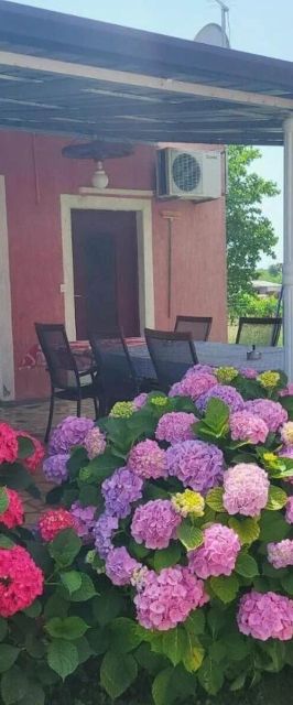 Apartmani Dragica Poreč