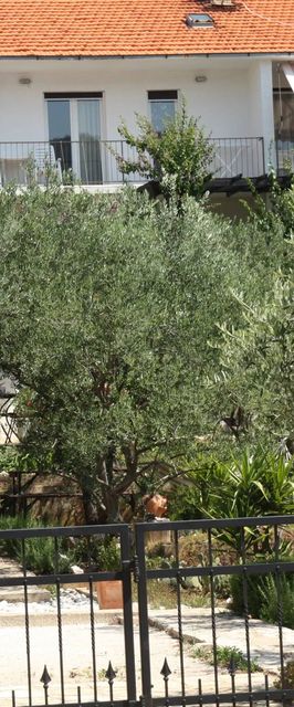 Apartman Tihana Stari Grad