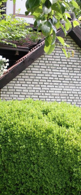 Apartman Cro Behar Zagreb