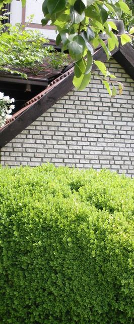 Apartman Cro Behar Zagreb