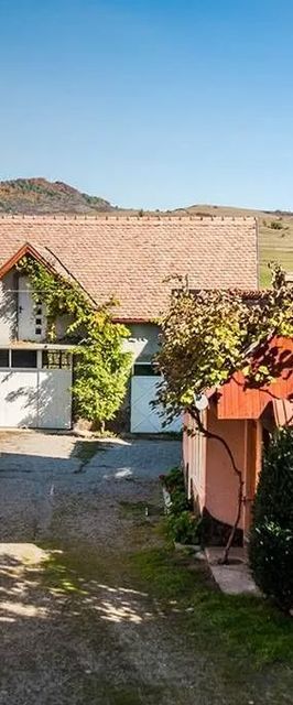 Pensiunea Anikó Lupeni