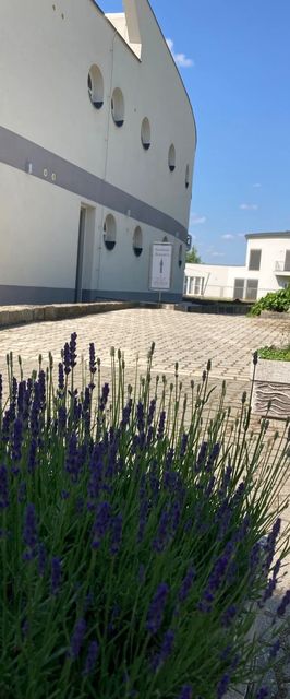 Nautilus Étterem és Panzió Dabas