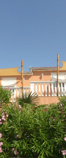 3 Pálma Apartman Vir