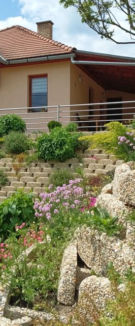 Napfénydomb Vendégház Mátraszele