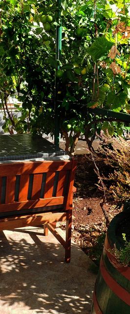 Apartmani Sara Zadar