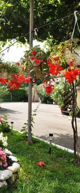 Bodnár Vendégház Noszvaj