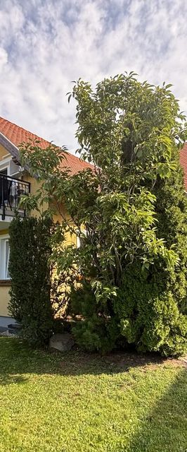Apartman Zoltán Balatonlelle