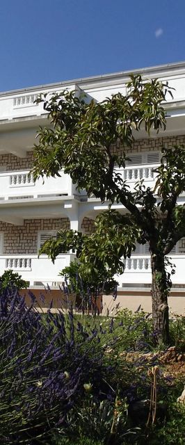 Apartmani Viskic Rab