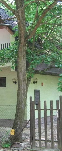 LacBáHáz Balaton Pálköve