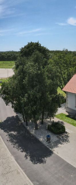 Vadkert Major Sárvár