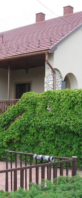 Boglárka Apartman Tihany