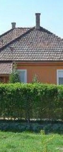 Tünde Vendégház Foktő