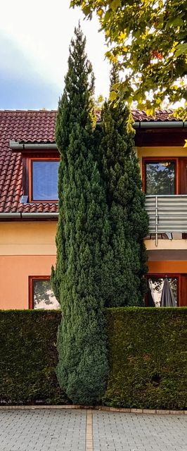 Steiner Vízközeli Apartman Balatonboglár