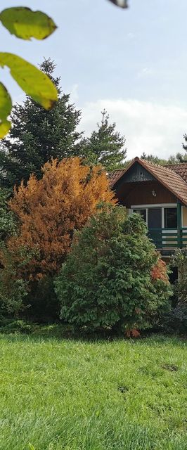 Becker Vendégház Ábrahámhegy