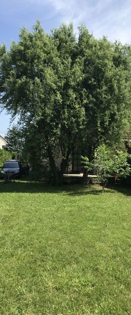 Hadd Simogasson A Balaton Nyaraló Balatonmáriafürdő