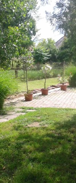 Boróka Apartman Sarud