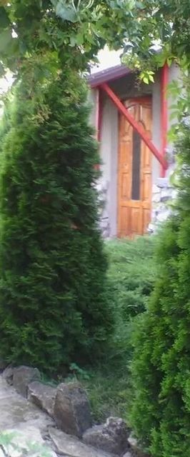 Pensiunea Péter Annamária & Géza Cristur