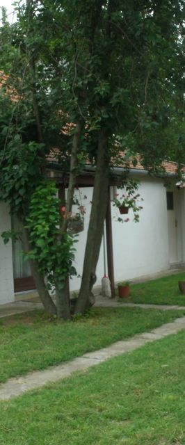 Rózsa Vendégház Abádszalók