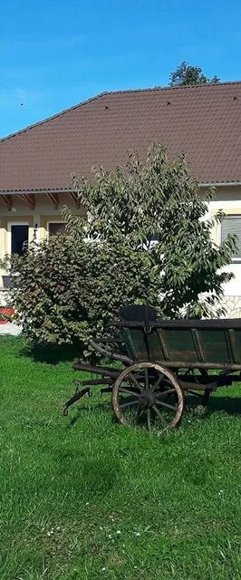 Zsuzsanna Vendégház Kapuvár