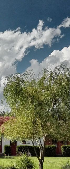 Cseri Porta Szalafő