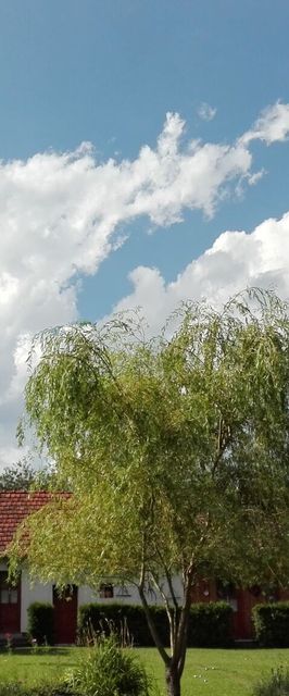 Cseri Porta Szalafő